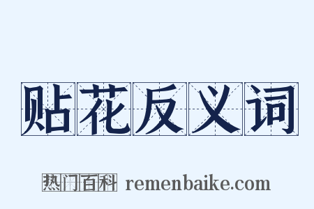 贴花反义词是什么意思的图片